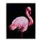 Stupell Industries Elegant & Exotic Flamingo Framed Giclee, design by James Corwin